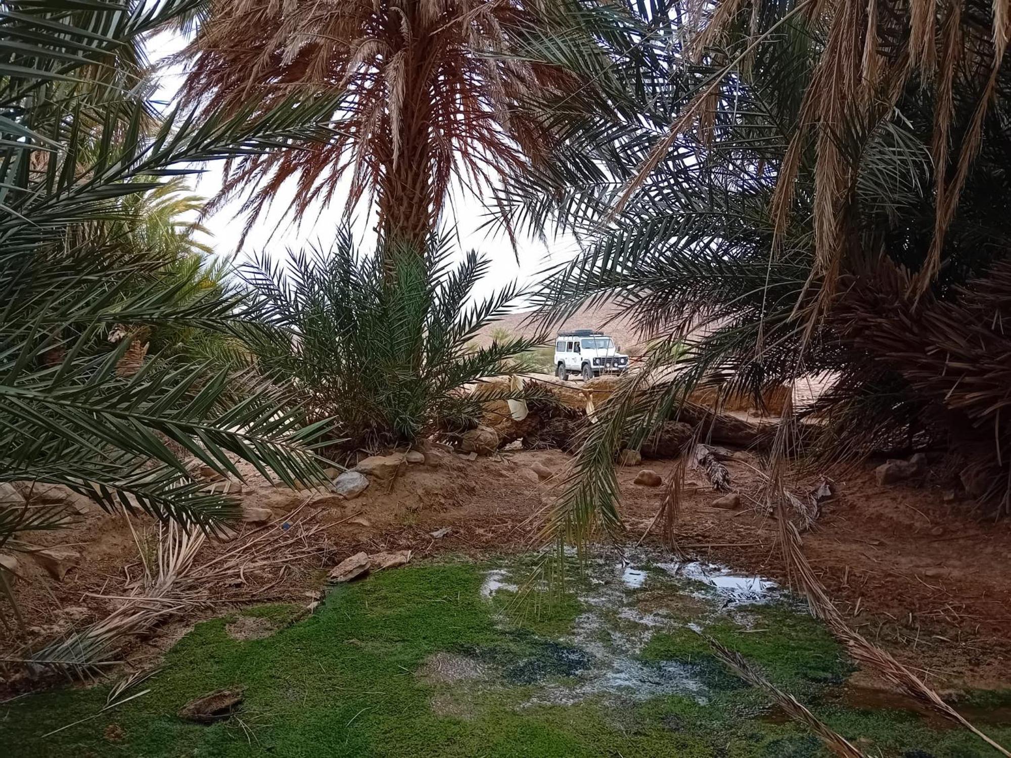 Hotel Bivouac Cote-Iriki Foum Zguid Esterno foto